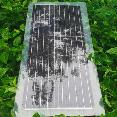 30W 40W 50W 60W 80W tấm pin mặt trời PET tấm pin mặt trời bán minh bạch 1000V